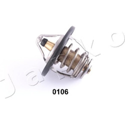  termostatas, aušinimo skystis