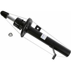 amortizatorius  amortizatorius