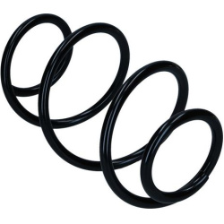 spyruoklė  spyruoklė