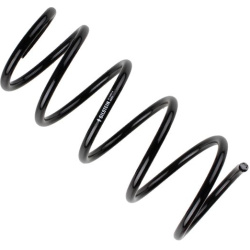  spyruoklė <small>BILSTEIN - B3 OE Replacement</small>