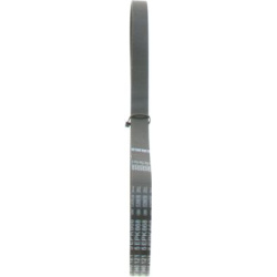  V formos rumbuoti diržai <small>„Elastic“</small>