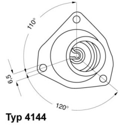  termostatas, aušinimo skystis