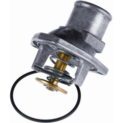  termostatas, aušinimo skystis