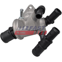  termostatas, aušinimo skystis