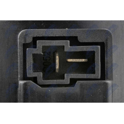 vidaus pūtiklis  vidaus pūtiklis