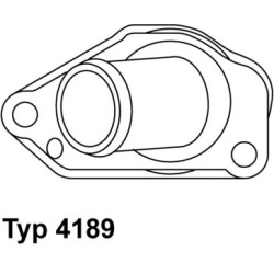  termostatas, aušinimo skystis