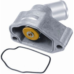  termostatas, aušinimo skystis