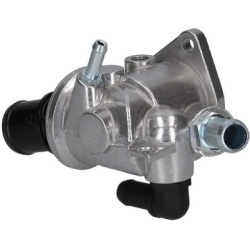  termostatas, aušinimo skystis