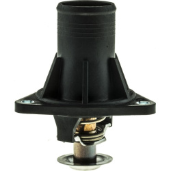  termostatas, aušinimo skystis