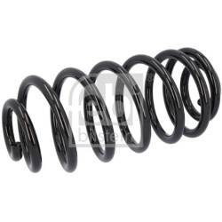 spyruoklė  spyruoklė