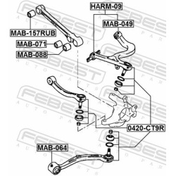 Šarnyras  Šarnyras