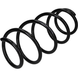 spyruoklė  spyruoklė