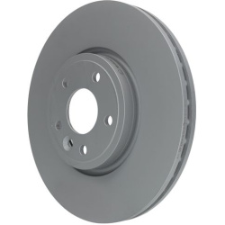  stabdžių diskas (1vnt)