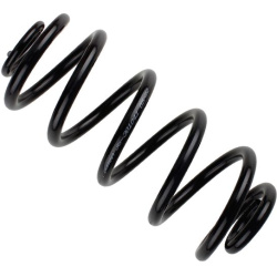  spyruoklė <small>BILSTEIN - B3 OE Replacement</small>