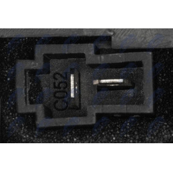 vidaus pūtiklis  vidaus pūtiklis