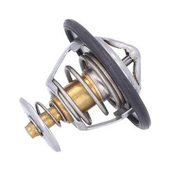  termostatas, aušinimo skystis