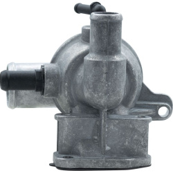  termostatas, aušinimo skystis