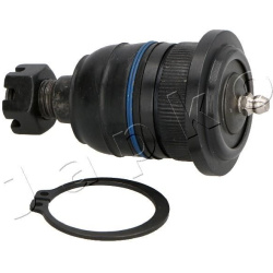 Šarnyras  Šarnyras