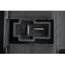 vidaus pūtiklis  vidaus pūtiklis