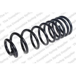 spyruoklė  spyruoklė