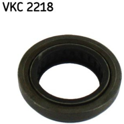  sankabos paleidiklis