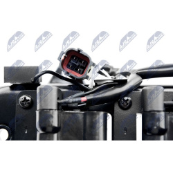 ritė, uždegimas  ritė, uždegimas