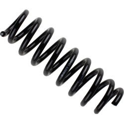 spyruoklė <small>BILSTEIN - B3 OE Replacement</small>