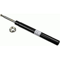 amortizatorius  amortizatorius