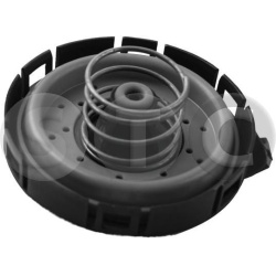  membrana, karterio alsuoklis