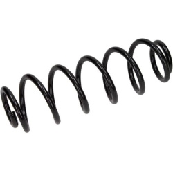 spyruoklė  spyruoklė