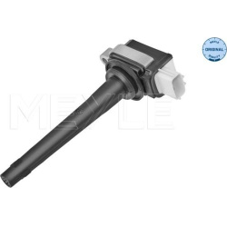  ritė, uždegimas <small>MEYLE-ORIGINAL: True to OE.</small>