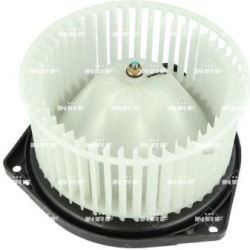 vidaus pūtiklis  vidaus pūtiklis