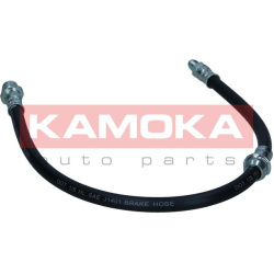  stabdžių žarnelė