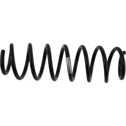 spyruoklė  spyruoklė