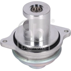 ERG vožtuvas  ERG vožtuvas