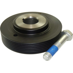  alkūninio veleno skriemulių rinkinys