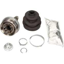 pusašio šarnyras  pusašio šarnyras