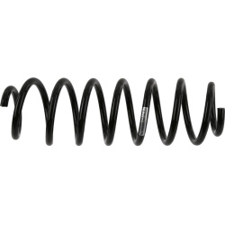 spyruoklė  spyruoklė