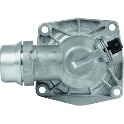  termostatas, aušinimo skystis