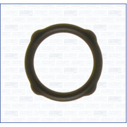 tarpiklis, EGR vožtuvas  tarpiklis, EGR vožtuvas