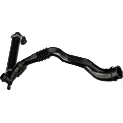  žarna, karterio alsuoklis