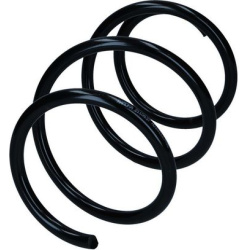 spyruoklė  spyruoklė