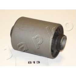  įvorė, lakštinė lingė