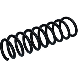 spyruoklė  spyruoklė