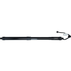  galinių durų elektros variklis