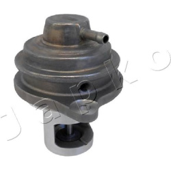 ERG vožtuvas  ERG vožtuvas