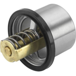  termostatas, aušinimo skystis