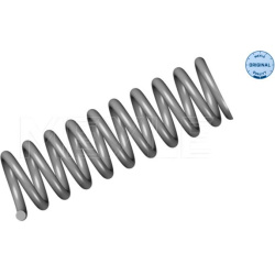 spyruoklė  spyruoklė