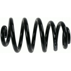 spyruoklė  spyruoklė