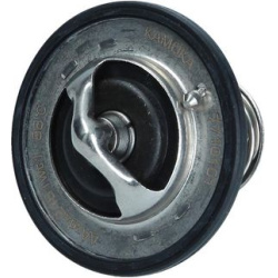  termostatas, aušinimo skystis